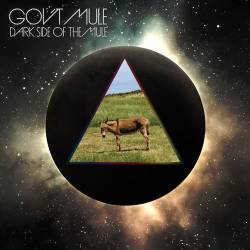 Gov't Mule : Dark Side of the Mule